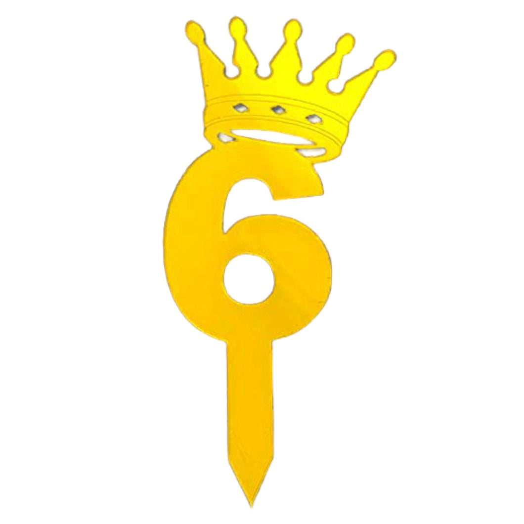 6 Number Golden Acrylic Cake Topper