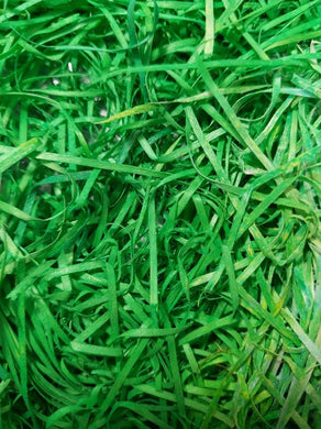 Green Artificial Grass