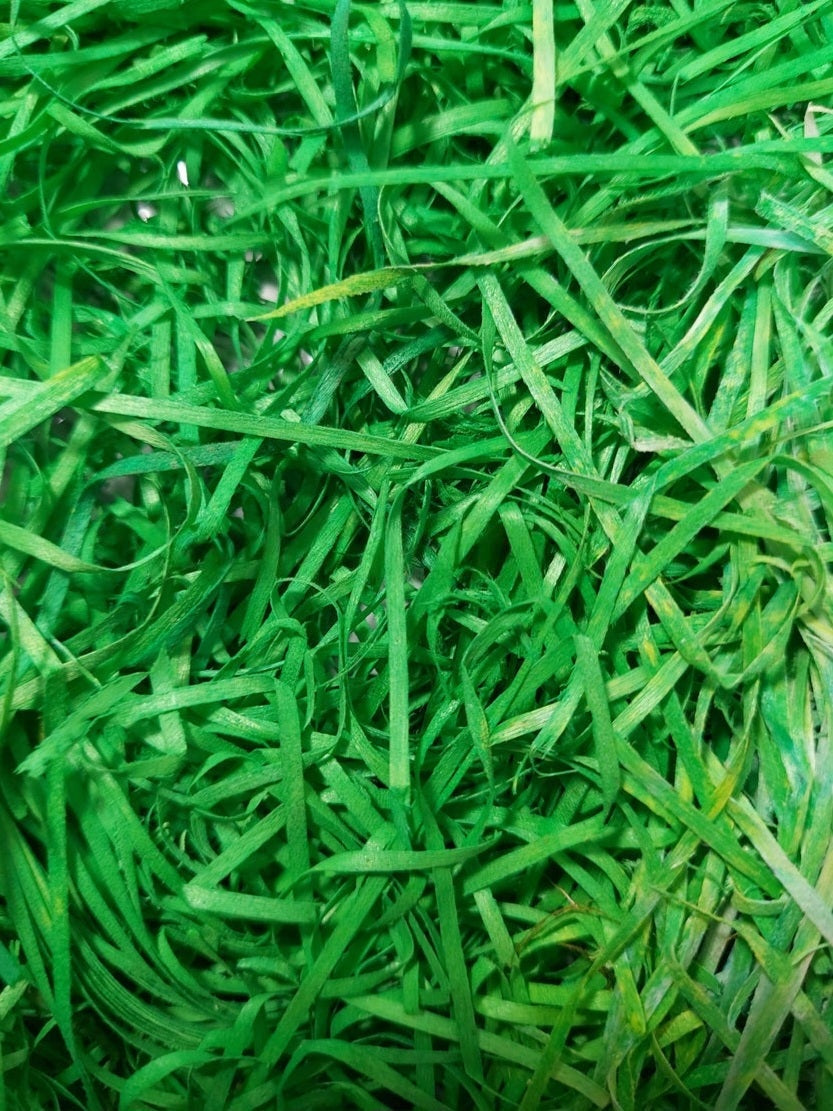 Green Artificial Grass