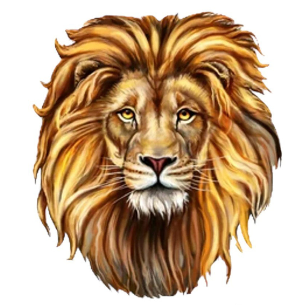 G48 Lion King Edible Wafer Topper