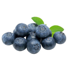 Load image into Gallery viewer, Mala&#39;s Blueberry Fruit Filling 1 Kg 2
