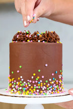 Load image into Gallery viewer, R29 Disc Sprinkles 3
