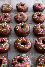 Load image into Gallery viewer, R29 Disc Sprinkles 4
