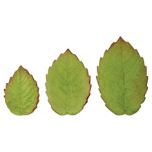 Load image into Gallery viewer, Z1 Veined Rose Leaf 3 Piece Plunger Set 3
