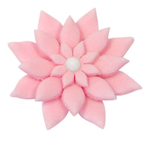 Load image into Gallery viewer, Z4 Marguerite | Daisy 4 Piece Plunger Set 2
